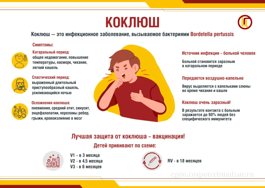 Коклюш недооцененная угроза